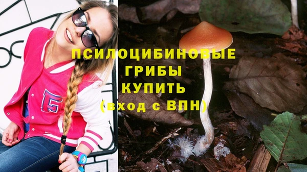 марки lsd Алзамай